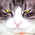 Profile picture of Magic Yip
