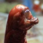 Profile picture of Rippers Ripprs