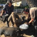 Profile picture of Tom Hays