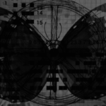 Profile picture of Nikolas Korolog