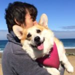 Profile picture of Dale North