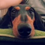 Profile picture of AB