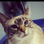 Profile picture of Kerry_Ryan